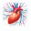 فیزیولوژی سلول عصب عضله قلب