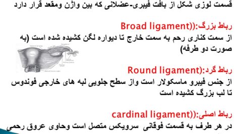 تکنولوژی جراحی زنان ومامایی