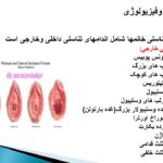 تکنولوژی جراحی زنان ومامایی