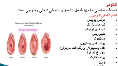 تکنولوژی جراحی زنان ومامایی